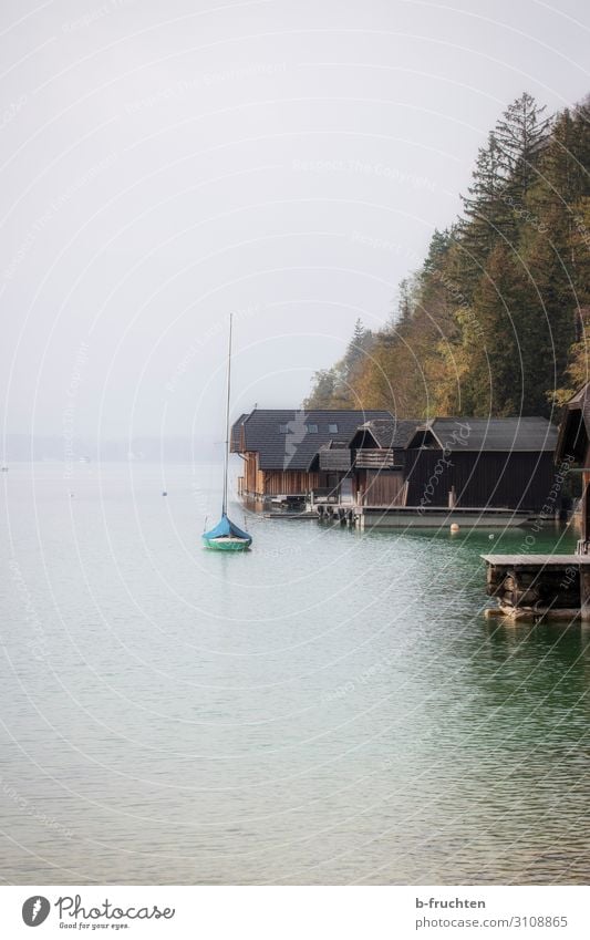 Ruhe am See Herbst schlechtes Wetter Nebel Baum Wald Hütte Einsamkeit Natur Bootshaus Wasserfahrzeug Wolfgangsee ruhig Farbfoto Außenaufnahme Menschenleer Tag