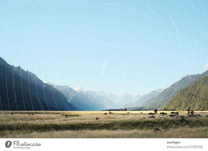 natur Umwelt Natur Landschaft Pflanze Erde Himmel Wolkenloser Himmel Sonne Sommer Schönes Wetter Sträucher Moos Berge u. Gebirge Gipfel Schneebedeckte Gipfel