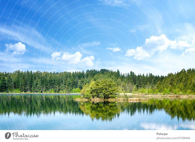 Bunte Seenlandschaft mit Spiegelungen von Bäumen schön Ferien & Urlaub & Reisen Abenteuer Sommer Insel Umwelt Natur Landschaft Pflanze Himmel Horizont Baum Park