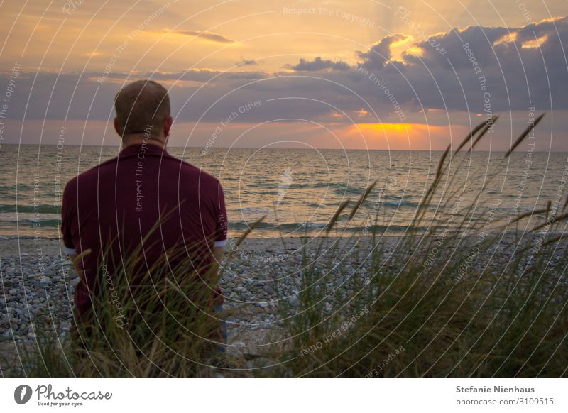 Der Blick in den Sonnenuntergang auf Fehmarn Umwelt Natur Landschaft Wasser Himmel Horizont Sonnenaufgang Sonnenlicht Sommer Wetter Schönes Wetter Gras Blatt