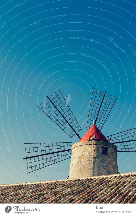 Windmühle blau Blauer Himmel Wolkenloser Himmel Dachziegel Landwirtschaft Sommer ländlich Farbfoto Außenaufnahme Menschenleer Textfreiraum oben Tag