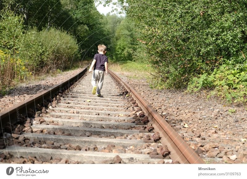 Vorwärts Tourismus Ausflug Abenteuer Ferne Freiheit Safari Sommer Sonne wandern Mensch Kind Kleinkind Junge Kindheit Leben 1 3-8 Jahre Umwelt Tier Herbst