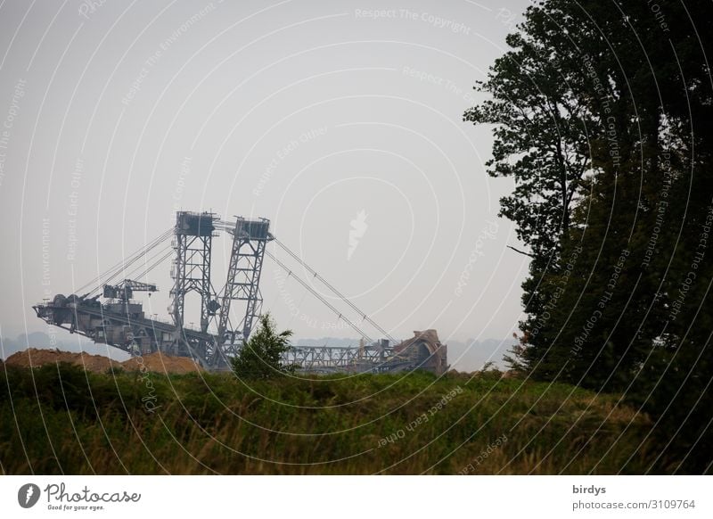 Hambacher Forst - Bagger ist bedrohlich nah Braunkohlentagebau Energiewirtschaft Braunkohlenbagger Umwelt Natur Sommer Klima Klimawandel Baum Wald authentisch