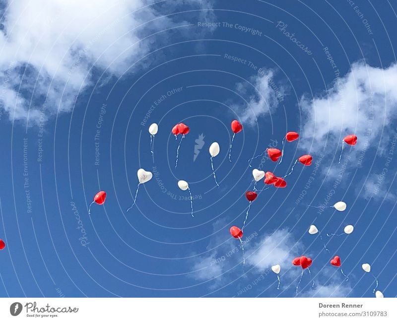 Luftballons am Himmel Natur Wolken Sommer Herz Essen fliegen Liebe Blick Tanzen frei Fröhlichkeit Zusammensein Glück Unendlichkeit hoch oben schön blau rot weiß