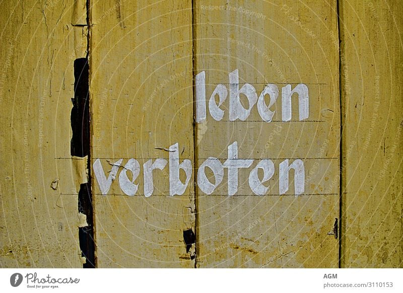 Leben verboten Mauer Wand Holz Schriftzeichen Schilder & Markierungen Hinweisschild Warnschild Graffiti Aggression lustig gelb Gefühle Überraschung Enttäuschung