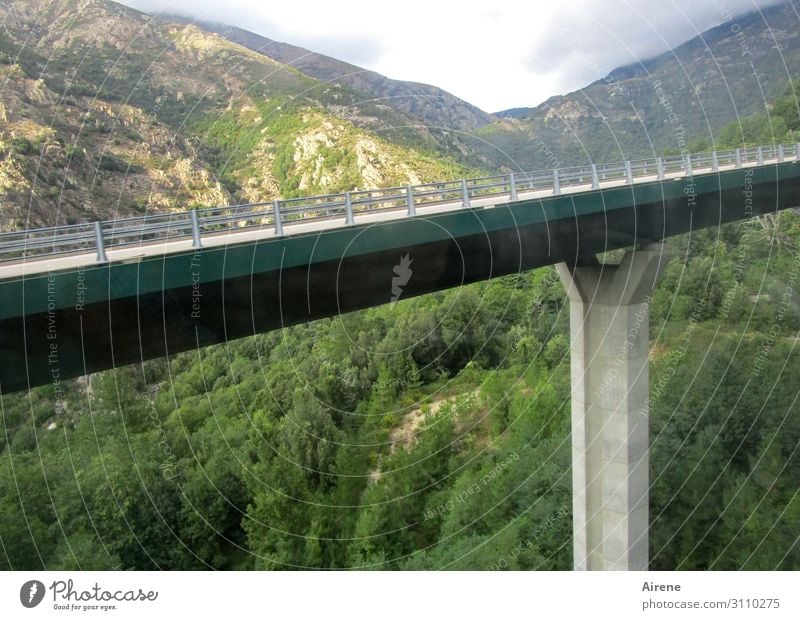 Überbrückung Landschaft Wald Berge u. Gebirge Schlucht Tal Autobahn Brücke Brückenpfeiler fahren Ferien & Urlaub & Reisen groß blau grün türkis Tatkraft