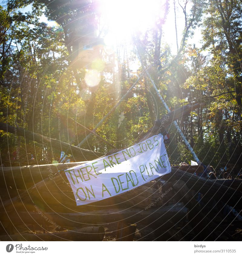 Hambacher Forst - Kohle - Klimawandel Baumhaus Natur Sommer Schönes Wetter Wald Schriftzeichen Hinweisschild Warnschild berühren Denken kämpfen authentisch