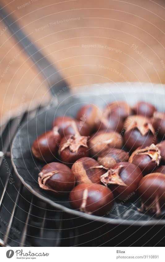 Leckere Maroni in einer Pfanne auf dem Grill Maronen Bioprodukte Vegetarische Ernährung Slowfood Herbst lecker braun gold orange Warmherzigkeit Idylle Natur