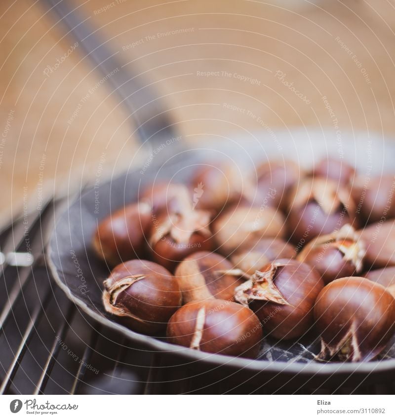 Maroni Essen Bioprodukte Vegetarische Ernährung Slowfood Pfanne Gesunde Ernährung Natur Herbst Grill lecker braun orange Stimmung Warmherzigkeit Idylle Maronen