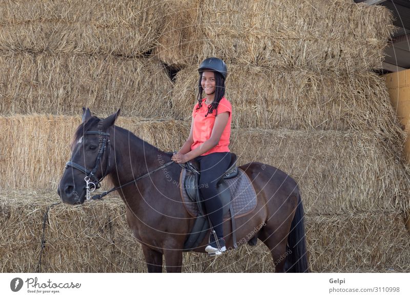 Schöner Teenager mit seinem Pferd lernt reiten. Lifestyle Glück Freizeit & Hobby Ferien & Urlaub & Reisen Sommer Kind Schule Frau Erwachsene Freundschaft