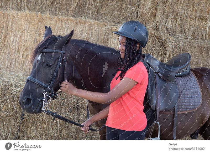 Schöner Teenager mit seinem Pferd lernt reiten. Lifestyle Glück Freizeit & Hobby Ferien & Urlaub & Reisen Sommer Kind Schule Frau Erwachsene Freundschaft