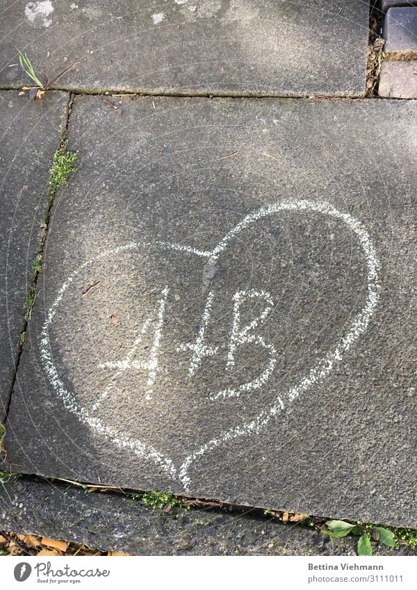 Liebe auf Asphalt gemalt Freude harmonisch Valentinstag Hochzeit Paar Leben Fußweg Stein Zeichen Schriftzeichen Graffiti Zusammensein Glück grau weiß Gefühle