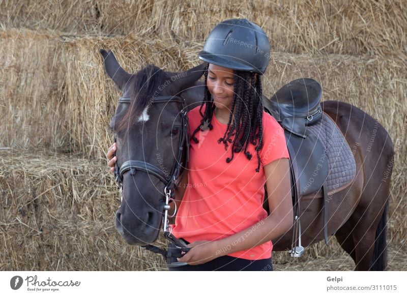 Schöner Teenager mit seinem Pferd lernt reiten. Lifestyle Glück Freizeit & Hobby Ferien & Urlaub & Reisen Sommer Kind Schule Frau Erwachsene Freundschaft