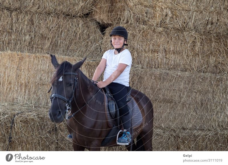 Reiten lernen in der Reitschule Lifestyle Glück Freizeit & Hobby Ferien & Urlaub & Reisen Sommer Kind Schule Junge Mann Erwachsene Freundschaft Kindheit