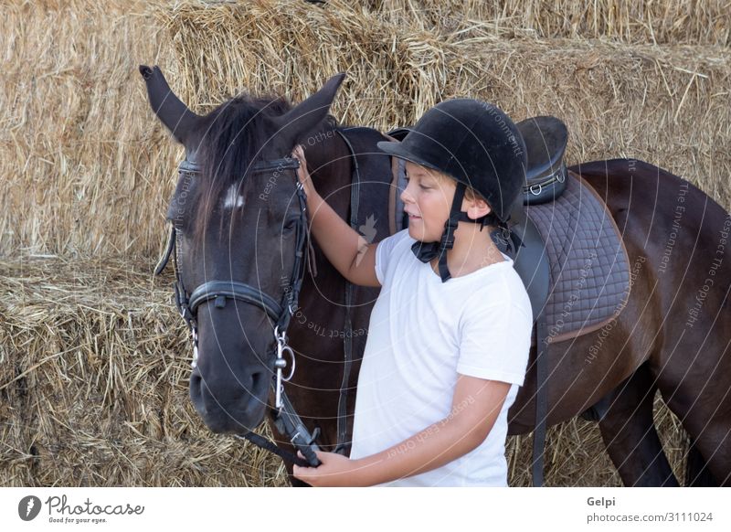 Reiten lernen in der Reitschule Lifestyle Glück Freizeit & Hobby Ferien & Urlaub & Reisen Sommer Kind Schule Junge Mann Erwachsene Freundschaft Kindheit