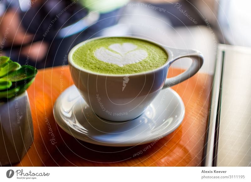 Matcha Latte Kunst mit Sukkulenten in einem Café auf einem Tisch Lebensmittel Kaffeetrinken Getränk Latte Macchiato Espresso Tasse Lifestyle Pflanze Kaktus