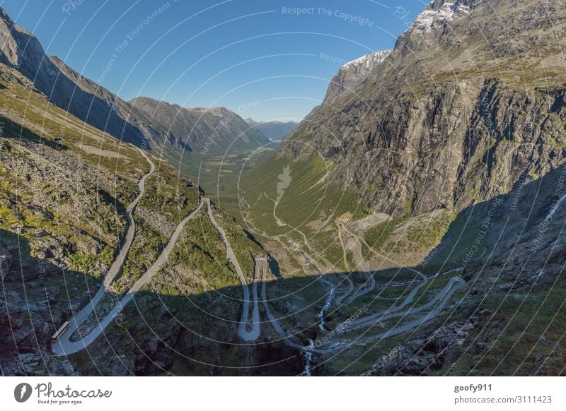 Trollstigen Norwegen Ferien & Urlaub & Reisen Tourismus Ausflug Abenteuer Ferne Freiheit Sightseeing Expedition Natur Landschaft Himmel Wolkenloser Himmel