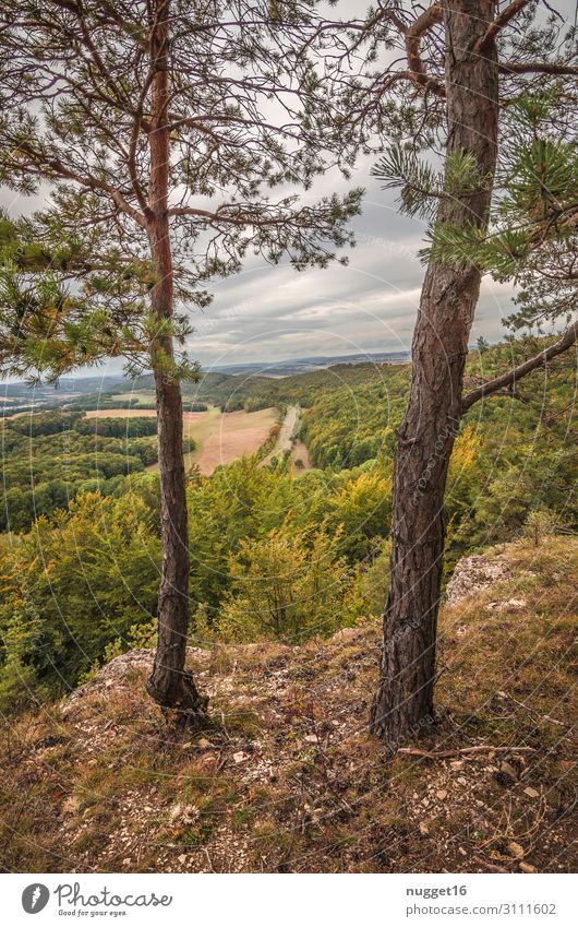 Hörselberg 2 Freizeit & Hobby Ferien & Urlaub & Reisen Tourismus Abenteuer Fahrradtour Sommer Berge u. Gebirge wandern Umwelt Natur Landschaft Pflanze Wolken