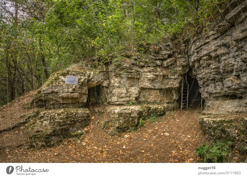 Hörselberg 1 Venushöhle Freizeit & Hobby Ferien & Urlaub & Reisen Tourismus Ausflug Abenteuer Ferne Fahrradtour Sommer Umwelt Natur Landschaft Pflanze Frühling