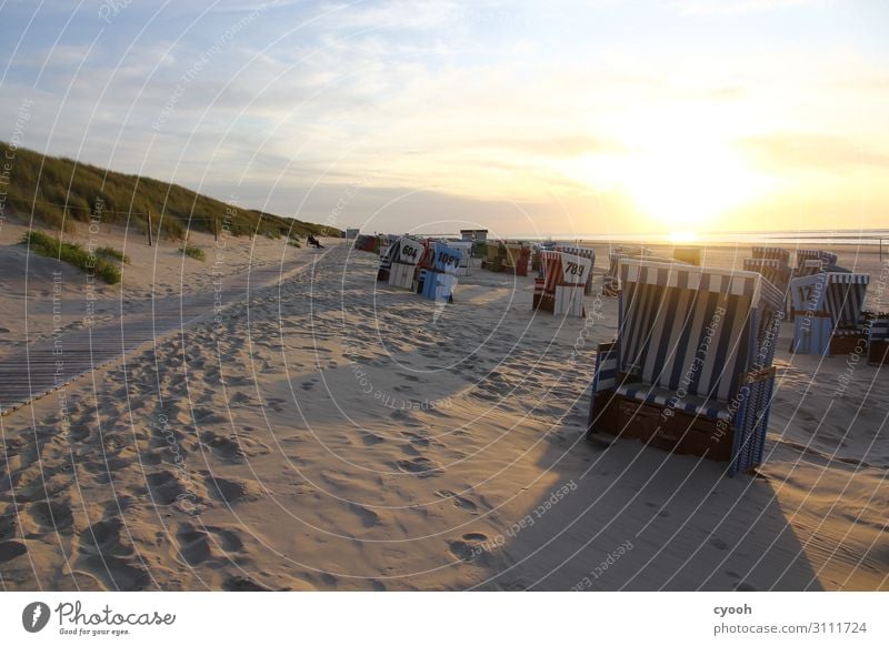 Inseltraum Schönes Wetter Nordsee beobachten träumen frei frisch hell Glück Zufriedenheit Lebensfreude Kraft Freizeit & Hobby Frieden genießen Horizont Idylle