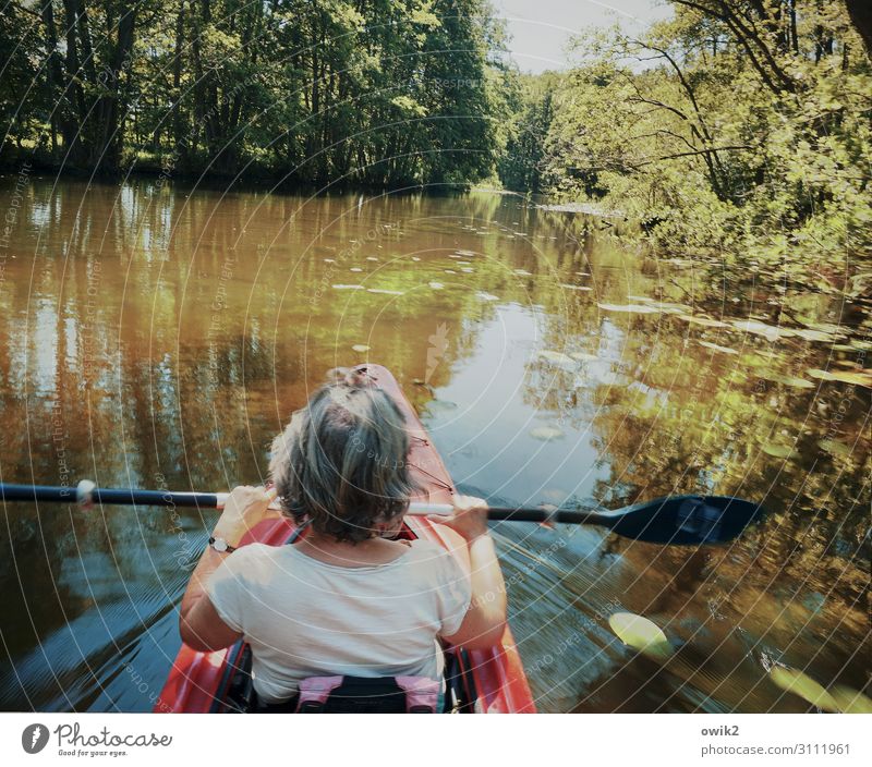 Sanft dahingleiten Freizeit & Hobby Ausflug Frau Erwachsene Partner Rücken Arme Hand Hinterkopf 1 Mensch Umwelt Natur Landschaft Pflanze Urelemente Wasser