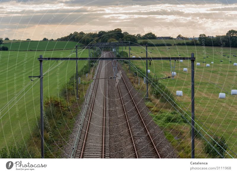 Bahn frei; Blick von oben auf eine Bahntrasse die durch Wiesen führt Landwirtschaft Forstwirtschaft Landschaft Himmel Wolken Horizont Herbst Pflanze Baum Gras