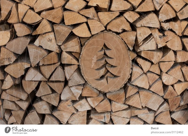 Laubsägearbeit Holz braun Brennholz Stapel Scheite Weihnachtsbaum Dekoration & Verzierung Baumscheibe Farbfoto Gedeckte Farben Außenaufnahme Menschenleer