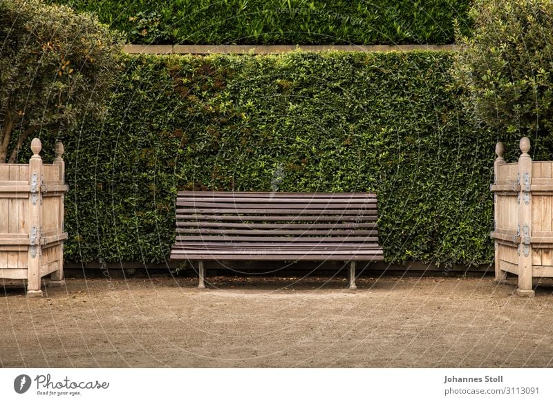 Bank im Park Erholung Garten Pflanze Sand Baum Sträucher Blatt Kleinstadt Stadt Kirche Platz Holz alt Fitness füttern laufen liegen sitzen warten natürlich