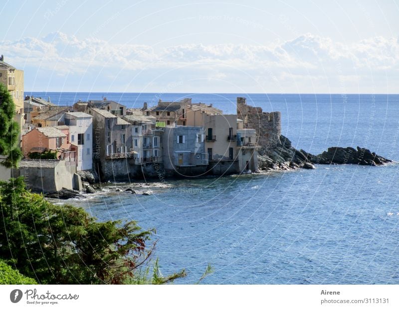 Dorf, korsisch Sommerurlaub Himmel Schönes Wetter Bucht Meer Mittelmeer Insel Korsika Fischerdorf Altstadt Haus Burg oder Schloss Ruine Wachturm schön positiv