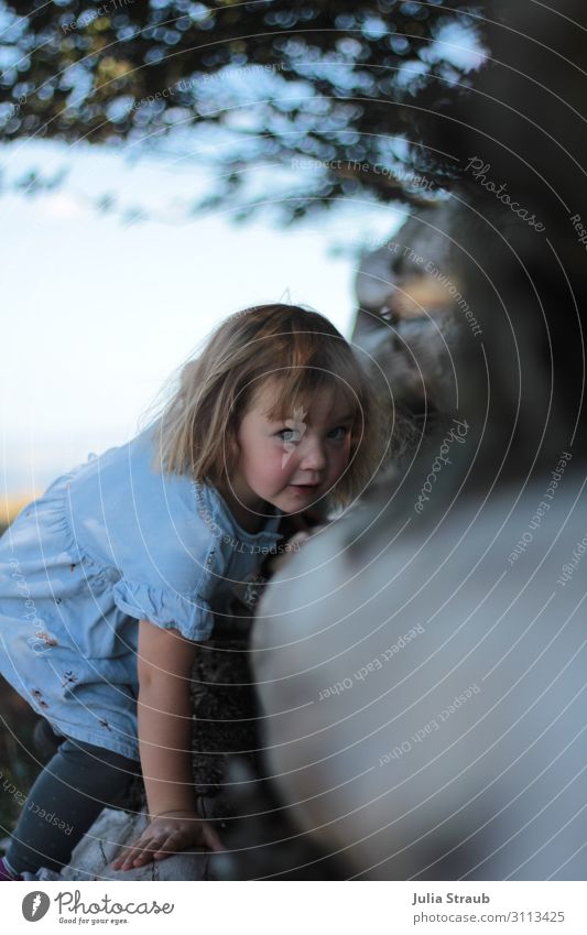 Baumstamm klettern Kind feminin 1 Mensch 3-8 Jahre Kindheit Natur Sommer Schönes Wetter Blatt Wald Kleid brünett blond kurzhaarig Pony beobachten entdecken