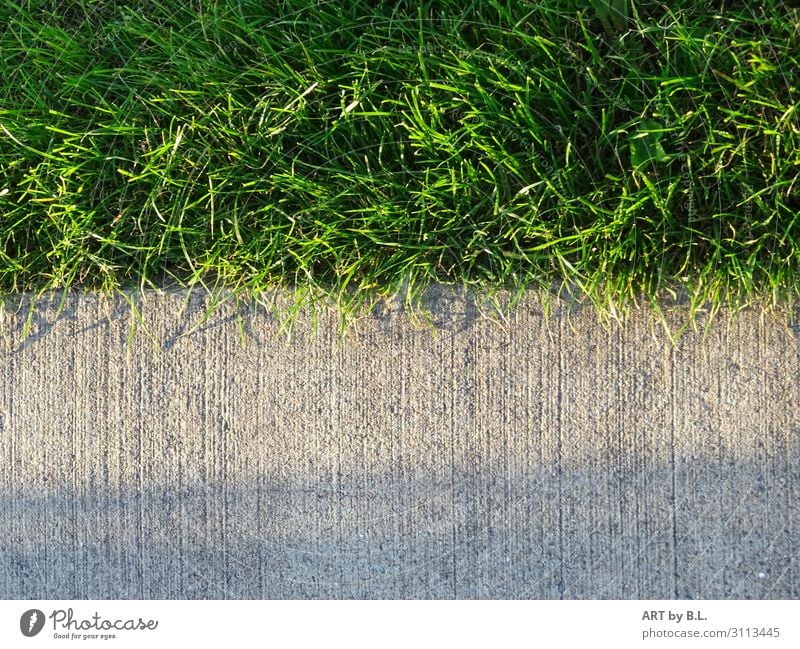 Gegensätze Garten Straße Wege & Pfade Stein Beton Fürsorge bedrohlich Zufriedenheit Hoffnung Horizont einzigartig Ferne Außenaufnahme Textfreiraum unten