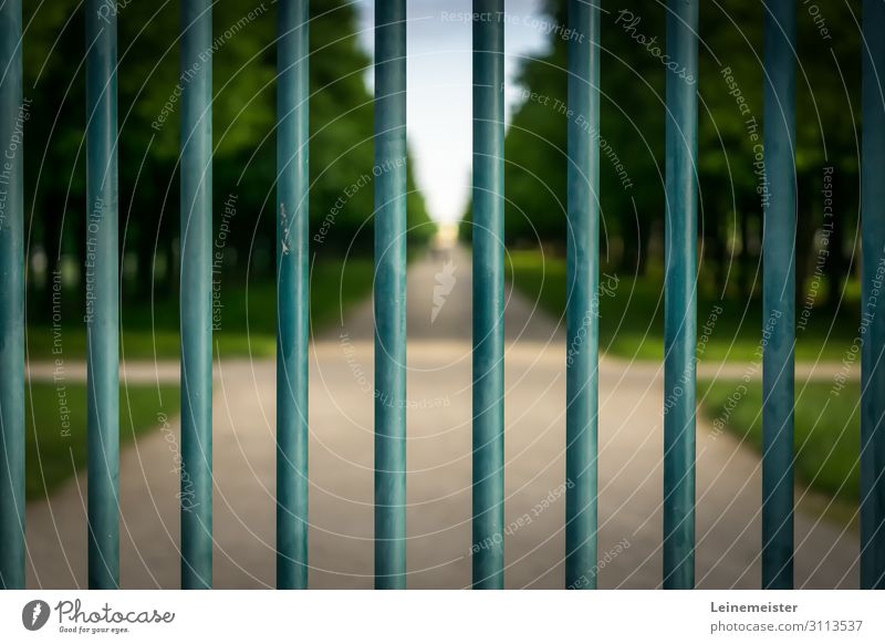 Herrenhäuser Allee geschlossen Freizeit & Hobby Umwelt Natur Landschaft Sommer Schönes Wetter Baum Garten Hannover Deutschland Stadt grün Ärger Enttäuschung