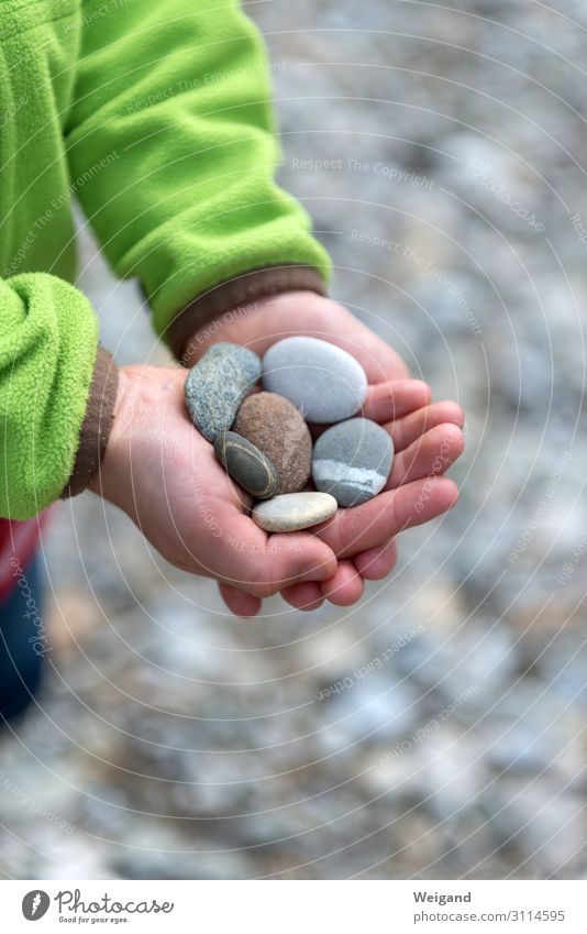 Kiesel harmonisch Kindergarten Junge 3-8 Jahre Kindheit Stein nachhaltig Güte Menschlichkeit Solidarität Hilfsbereitschaft trösten dankbar Traurigkeit Sorge