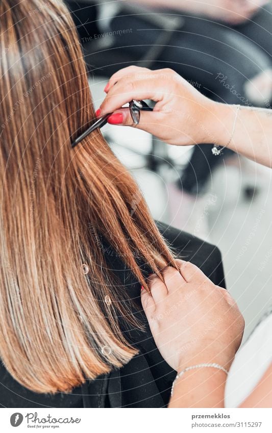 Friseur Styling Damenhaar Lifestyle Stil schön Haare & Frisuren Gesundheitswesen Arbeit & Erwerbstätigkeit Beruf Schere Bürste Junge Frau Jugendliche Erwachsene