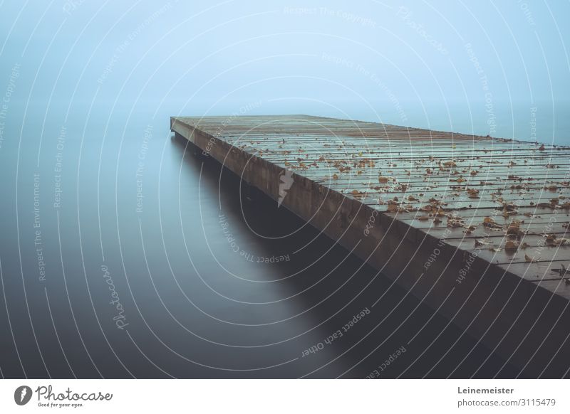 Maschseesteg Umwelt Natur Wasser Nebel Seeufer Hannover Deutschland Stadt Holz maritim nass ästhetisch Niedersachsen Sepia Steg Farbfoto Gedeckte Farben