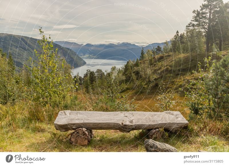 Ausicht auf Norwegens Nordfjord Ferien & Urlaub & Reisen Tourismus Ausflug Abenteuer Ferne Freiheit Kreuzfahrt Expedition Natur Landschaft Wasser Himmel Wolken