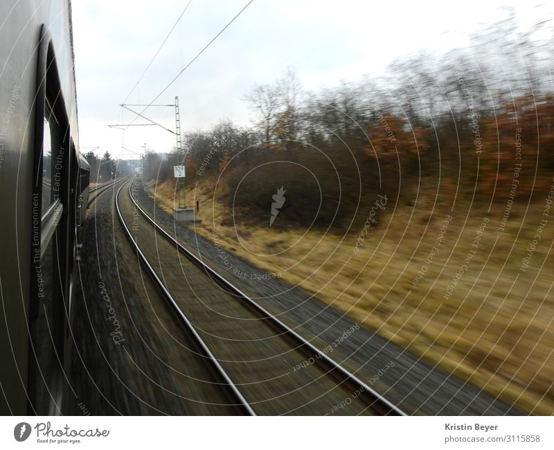 Zugfahrt Ausflug Natur Landschaft Sträucher Feld Menschenleer Verkehr Verkehrsmittel Verkehrswege Personenverkehr Öffentlicher Personennahverkehr Bahnfahren