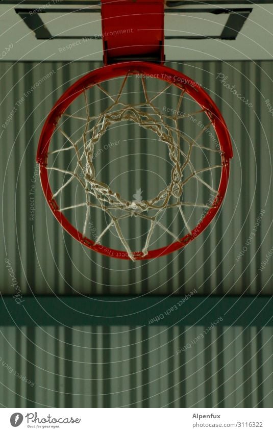 Game Under Sport Basketballkorb Sportstätten Sporthalle sportlich hoch anstrengen Bewegung Partnerschaft Bildung Erfolg Freude Geld Glaube Religion & Glaube