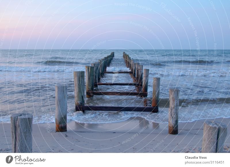 Buhnen am Ostseestrand Natur Landschaft Sand Wasser Himmel Horizont Strand Meer Zingst Deutschland Europa Stimmung Zufriedenheit Erfolg Mut Vertrauen trösten