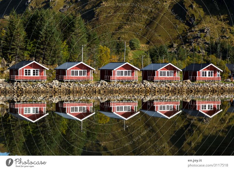 Verwechslungsgefahr Ferien & Urlaub & Reisen Tourismus Häusliches Leben Haus Umwelt Landschaft Herbst Hügel Seeufer Lofoten Norwegen Skandinavien