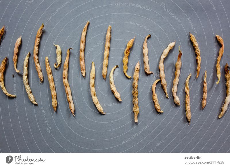 Bohnen Erbsen Ernte Ernährung Gesunde Ernährung Speise Essen Foodfotografie Frucht Garten Hülsenfrüchte Essen zubereiten Küche Lebensmittel trocken