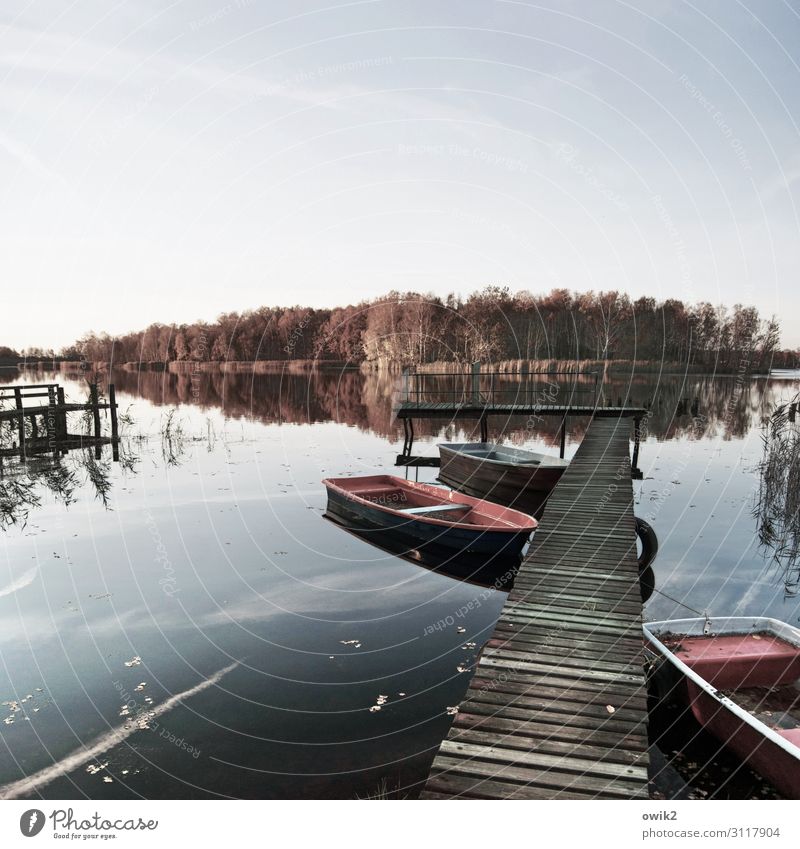 Still Umwelt Natur Landschaft Wasser Himmel Horizont Herbst Schönes Wetter Baum Wald Seeufer Ruderboot Steg Anlegestelle Holz Idylle Ferne Windstille friedlich