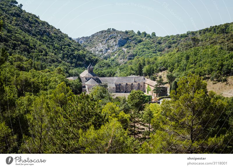 Sénanque Abbey, Gordes, France Ferien & Urlaub & Reisen Tourismus Ausflug Sightseeing Städtereise Sommerurlaub Natur Landschaft Pflanze Baum Hügel