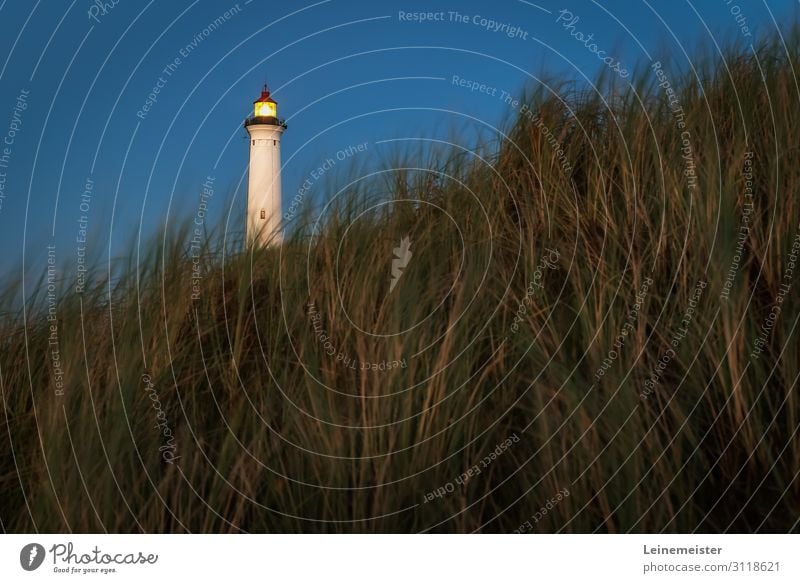 Lyngvig Fyr Ferien & Urlaub & Reisen Tourismus Sommerurlaub Strand Natur Landschaft Himmel Wolkenloser Himmel Schönes Wetter Gras Hügel Küste Nordsee Düne