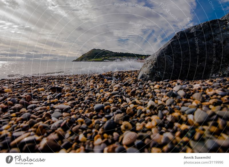 Irland, die grüne Insel. Strand von Bray am frühen Morgen Ferien & Urlaub & Reisen Ausflug Ferne Freiheit Meer Wellen wandern Trauerfeier Beerdigung Ruhestand