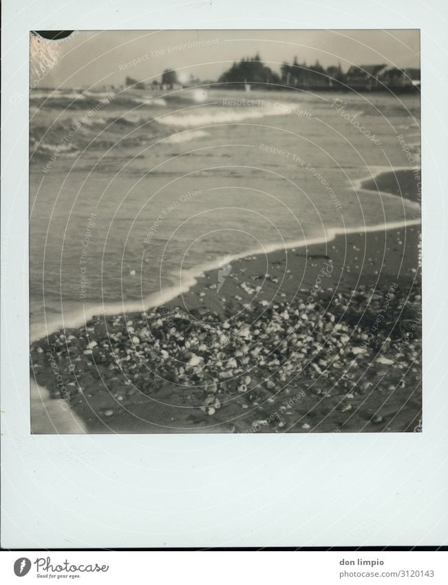 Kalifornien/Ostsee Ferien & Urlaub & Reisen Ferne Strand Meer Küste Dorf Muschel maritim Stimmung Idylle Polaroid Schwarzweißfoto Außenaufnahme Nahaufnahme