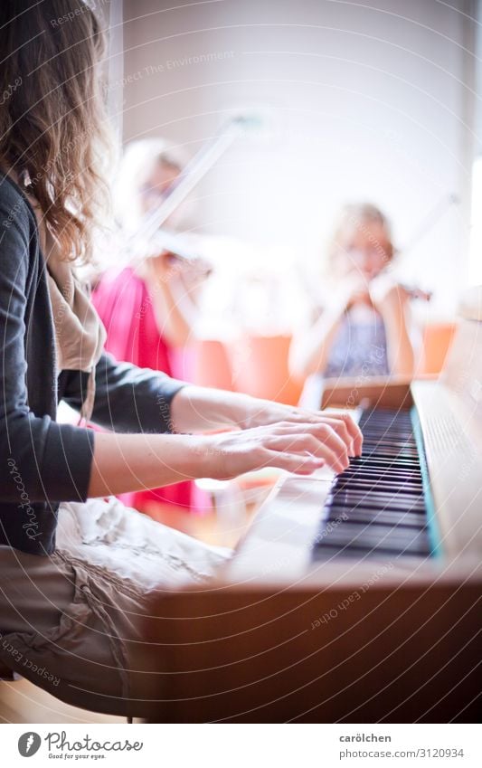 Klavier & Geigen Musik Musiker Klaviatur Zusammensein musizieren Klavier spielen Klavierunterricht Geigenunterricht Musikschule Klassisches Konzert Klassik