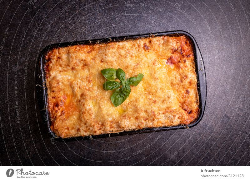 Lasagne al forno Lebensmittel Fleisch Ernährung Abendessen Festessen Bioprodukte Koch Küche Arbeit & Erwerbstätigkeit genießen Basilikum frisch Auflaufform