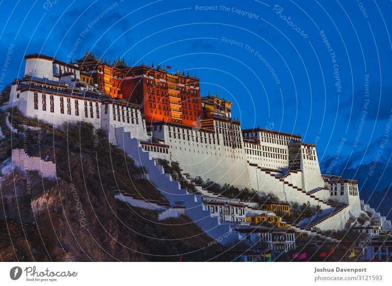 Potala Palast Ferien & Urlaub & Reisen Tourismus Sightseeing Bauwerk Architektur Sehenswürdigkeit Wahrzeichen Religion & Glaube antik altes Gebäude Blaue Stunde