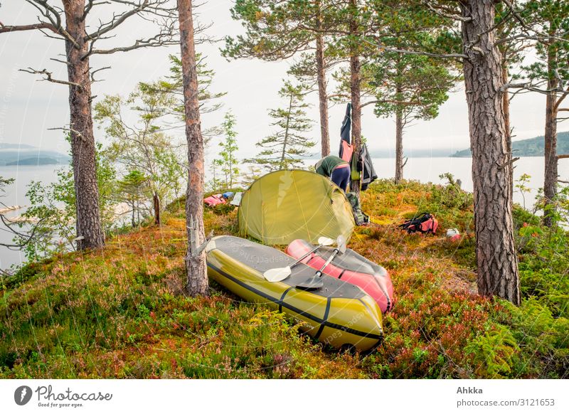 Inseleroberung Zufriedenheit Erholung ruhig Ferien & Urlaub & Reisen Abenteuer Natur Herbst Baum Kiefer Seeufer Skandinavien Zeltlager Kanu Lebensfreude